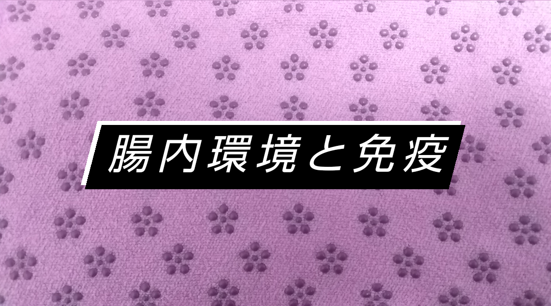 腸内環境を整えて免疫力をアップさせる方法｜日日是好日～にちにちこれこうじつ～